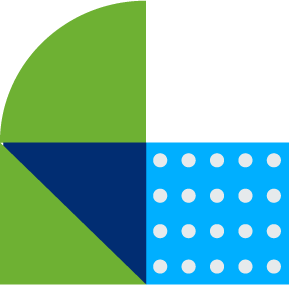 Asset 31