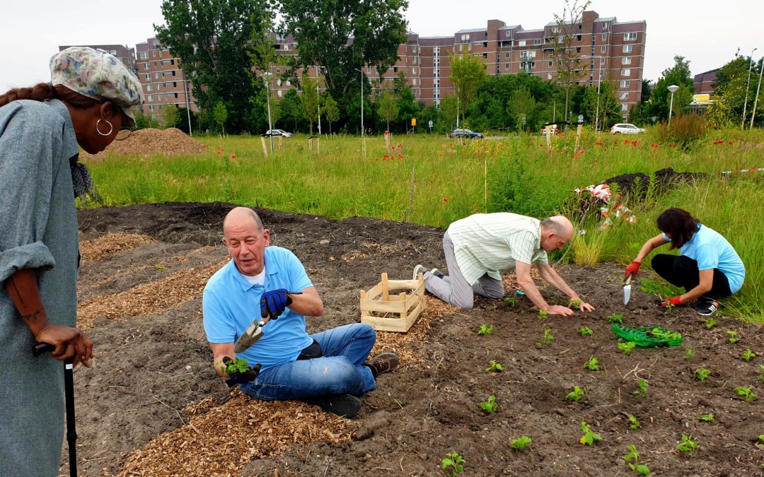 Why Cities Should Embrace Friction in Partnerships