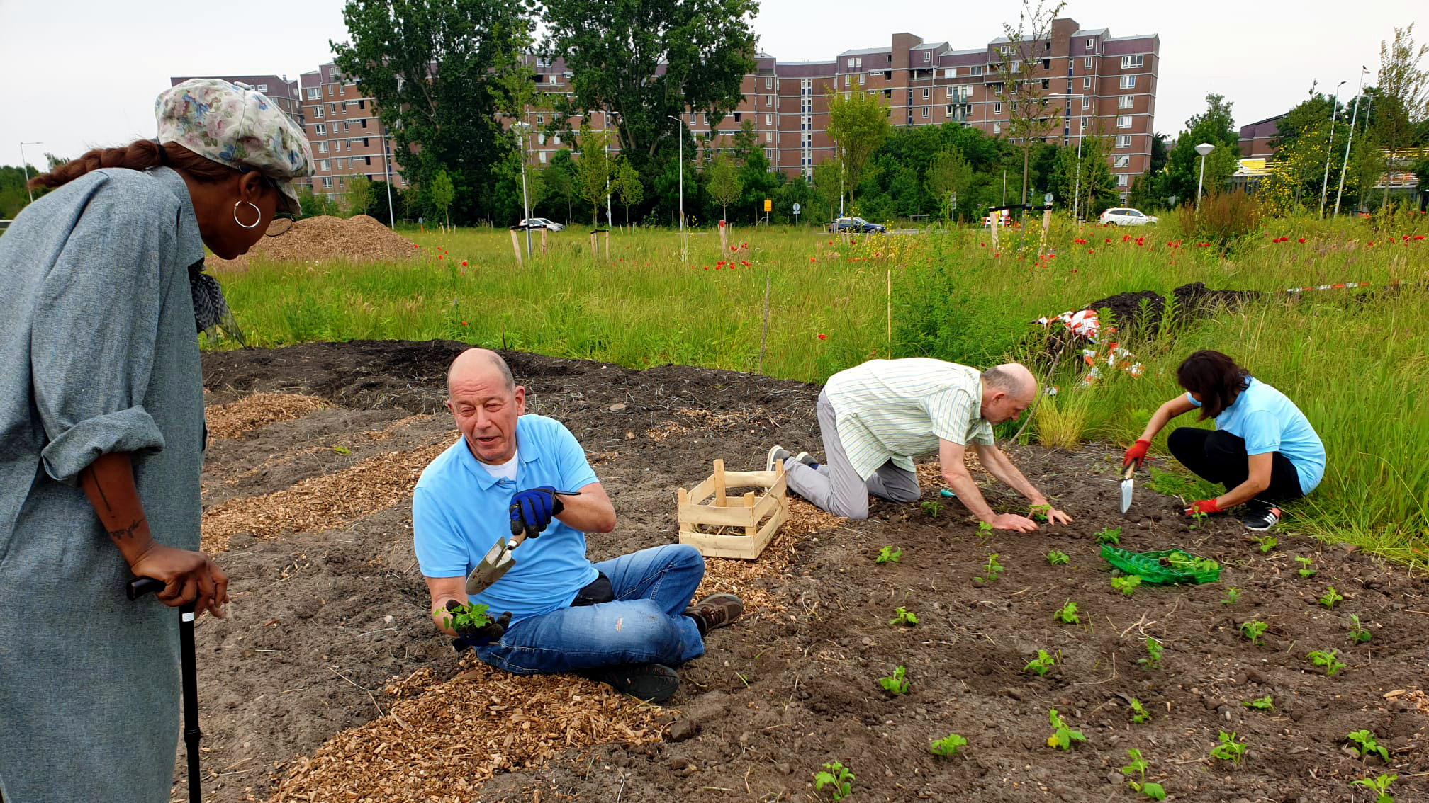Urban Gardening in Action Four people planting seedlings in a community garden while another person observes, highlighting collaborative urban greening efforts in a residential area, highlighting friction in partnerships.